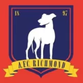 AFC Richmond - goatjersey